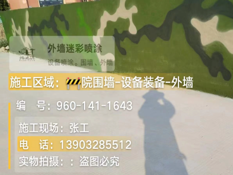 杭州 迷彩漆喷涂价格（按平方米计费）