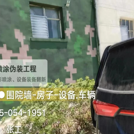 杭州数码迷彩漆施工